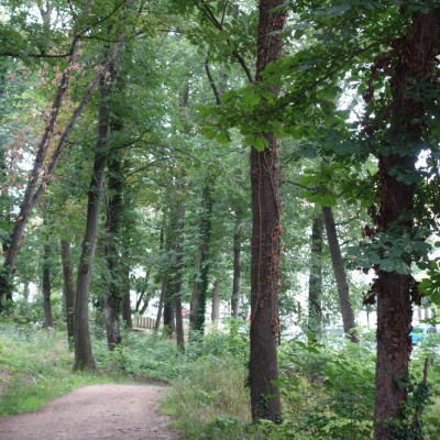 Hechtpark
